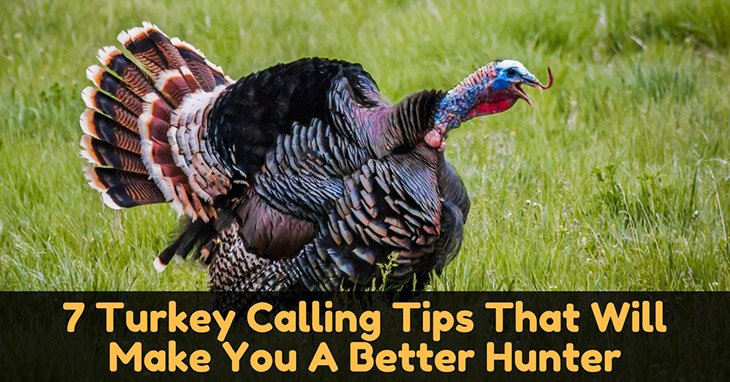 Turkey Calling Tips