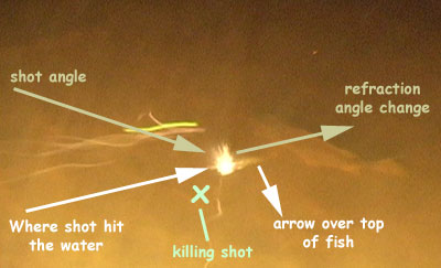 Where to Aim When Bowfishing