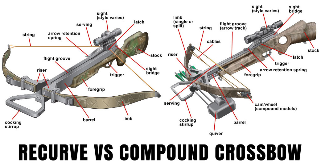 Recurve vs Compound Crossbow