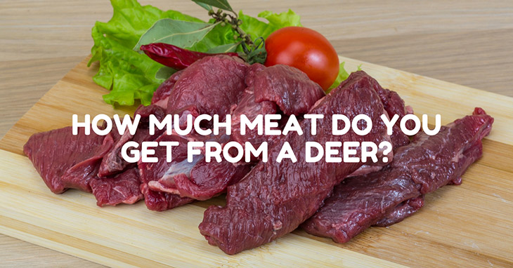 HOW MUCH MEAT DO YOU GET FROM A DEER
