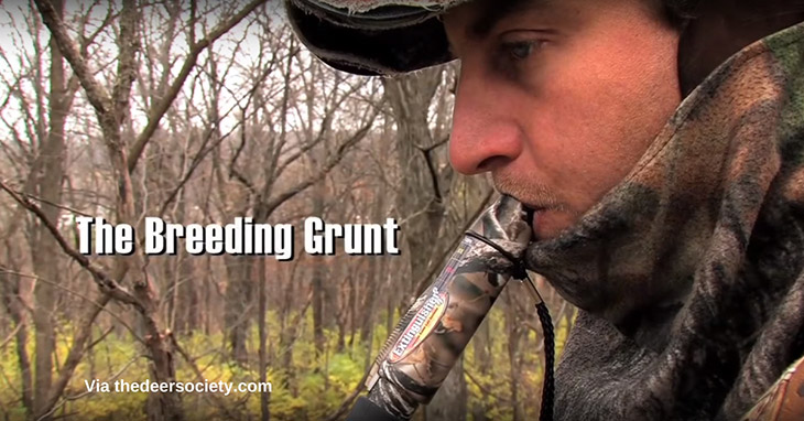 When To Use The Deer Grunt Call