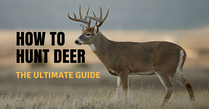 how to hunt deer