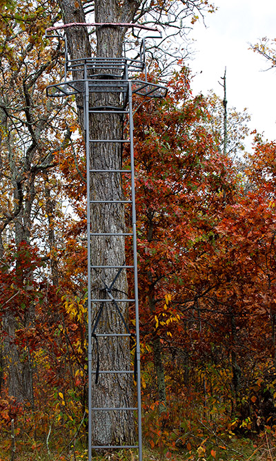 deer stand placement early season