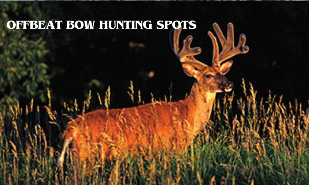 Offbeat Bow Hunting Spots