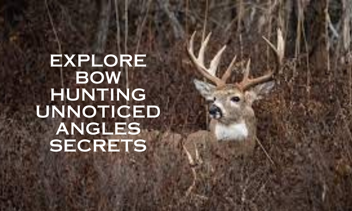 Explore Bow Hunting Unnoticed Angles Secrets