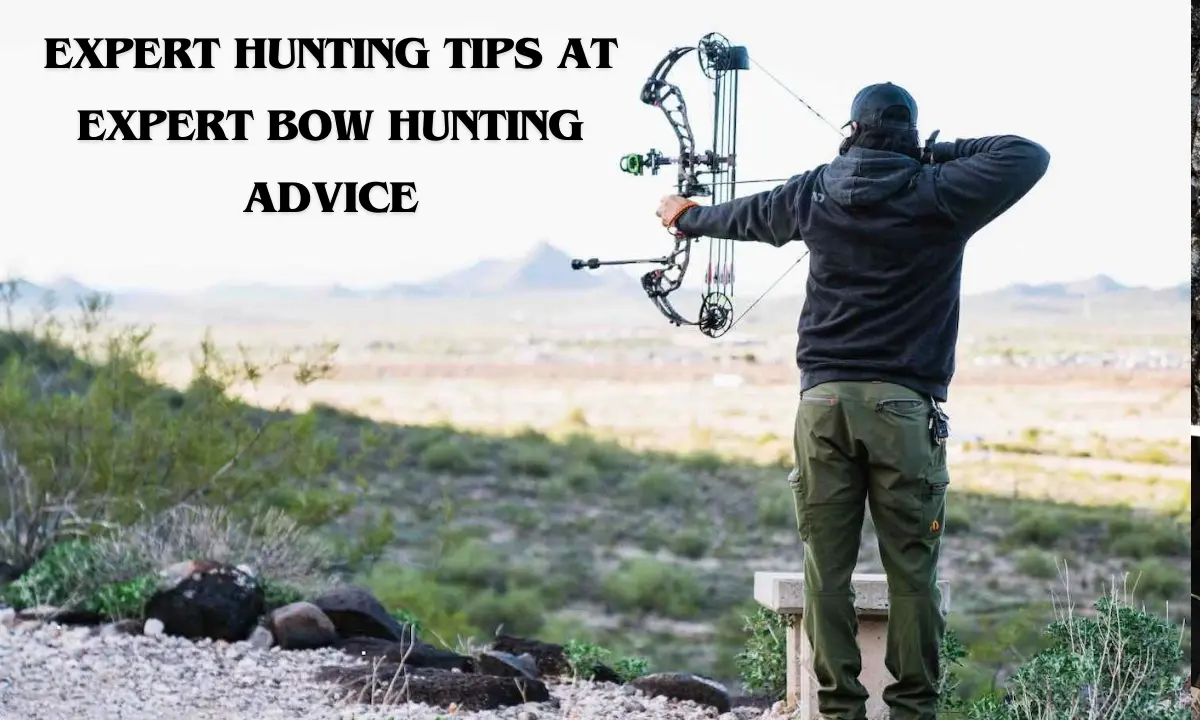 Expert Hunting Tips at Expert Bow hunting Advice